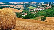 LE BONHEUR DANS LE PRÉ - Expérience du slow tourisme avec TerraGers